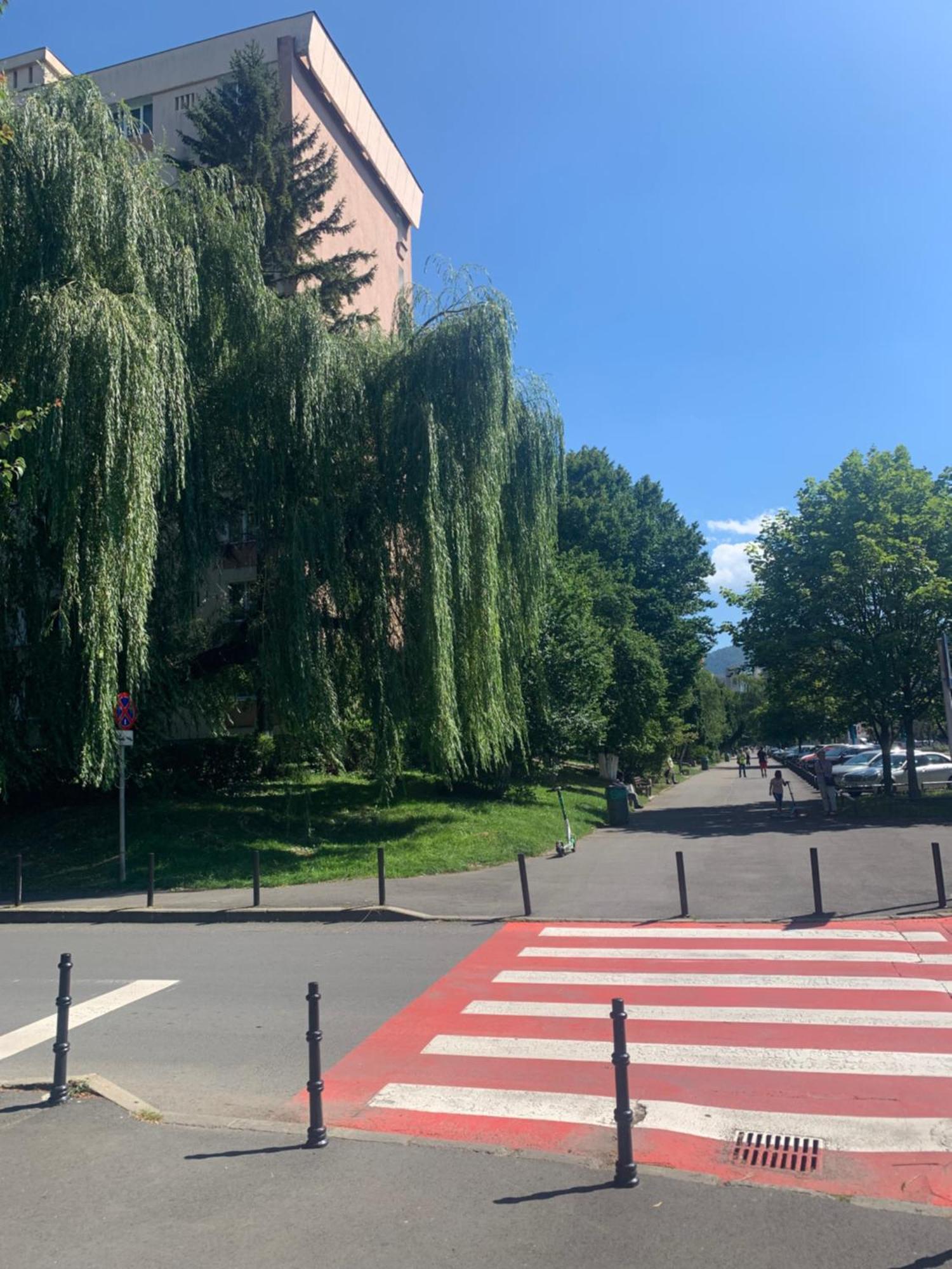 Victoriei Boulevard Private Apartment Brasov Ngoại thất bức ảnh